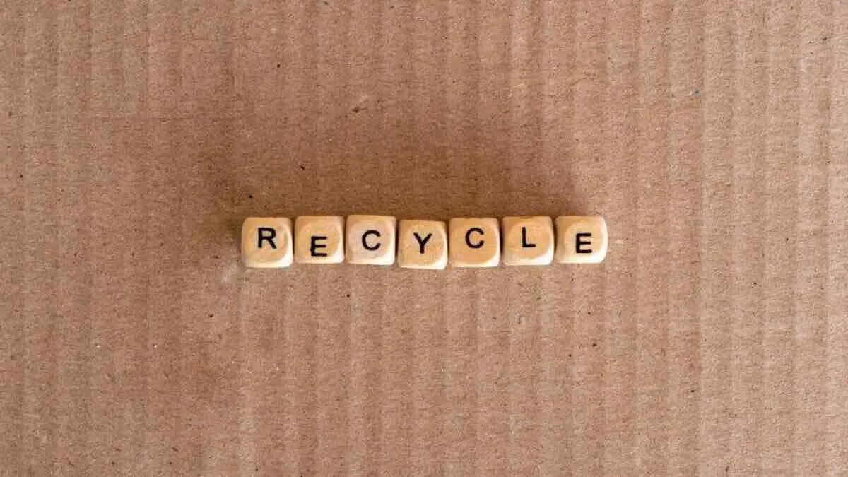 Recycle waste (frugal fun for a climate future)