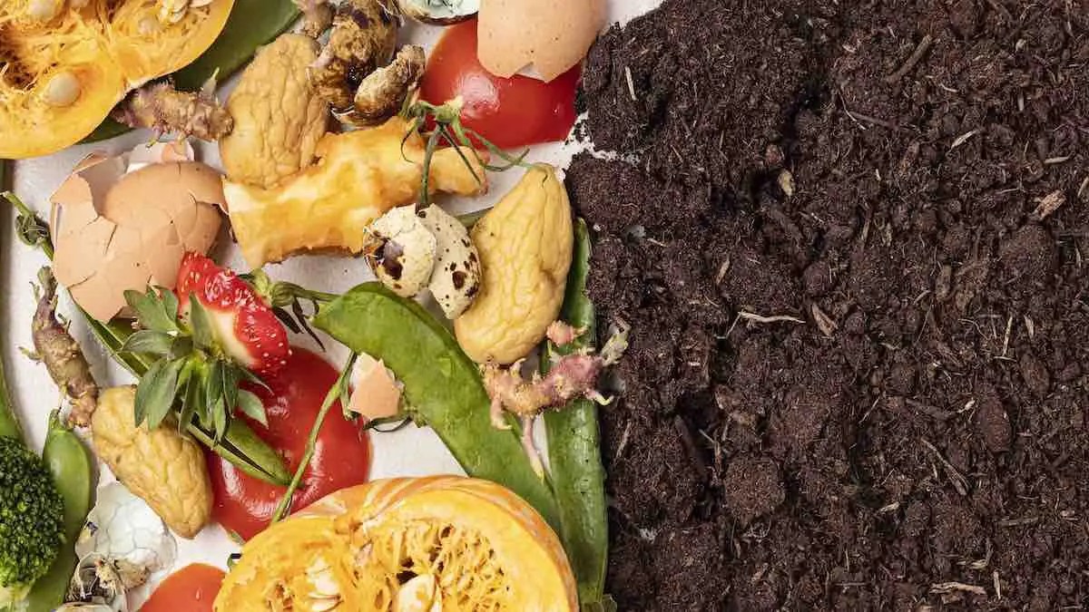 Urban Composting Tips for 2024