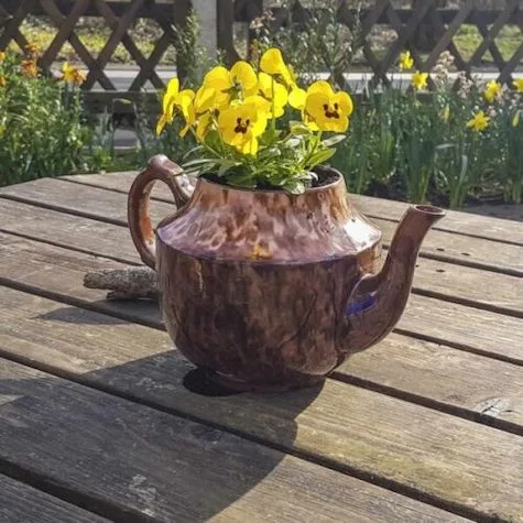 An old teapot holding flowers